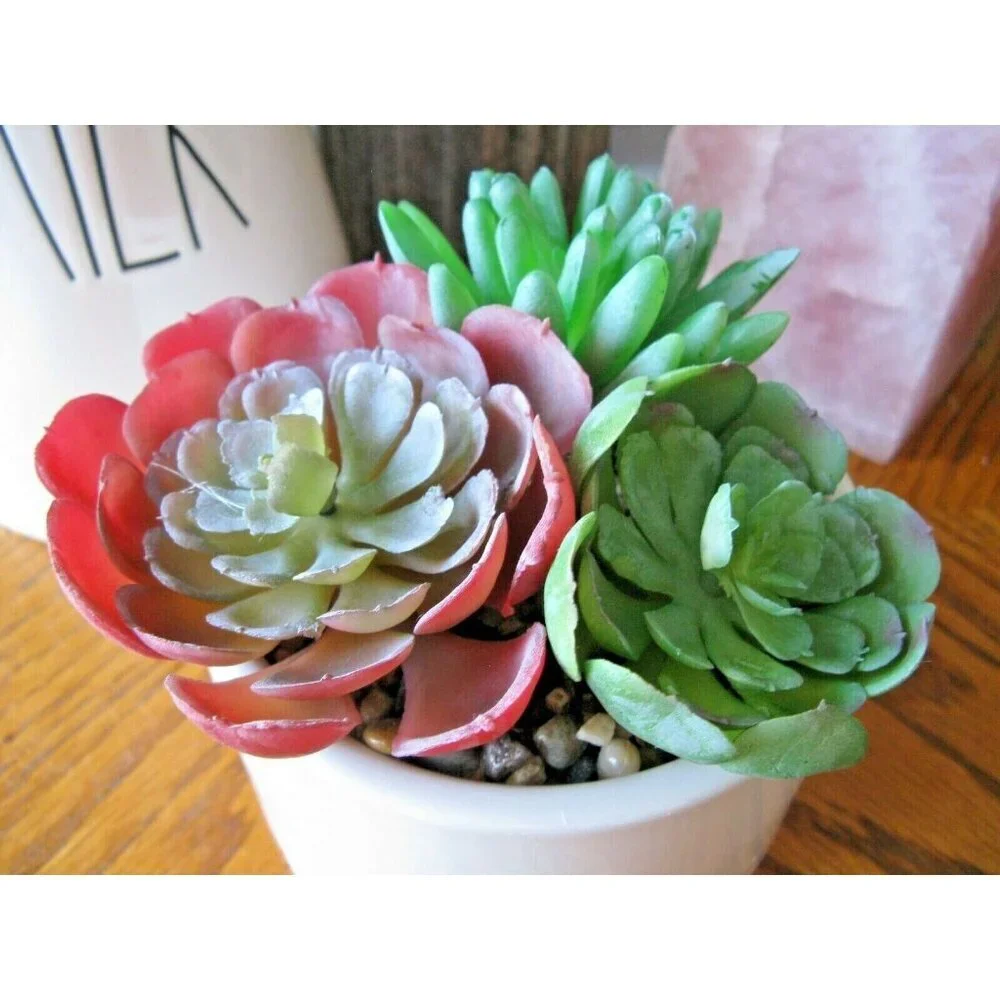 New Faux Succulent Cactus Fairy Garden Plants in Decorative Wood Trim Planter